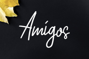 Amigos: A Friendly Script Font for Modern Web Design