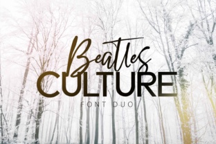 Beatles Culture: A Font Duo Built for Digital Design Systems