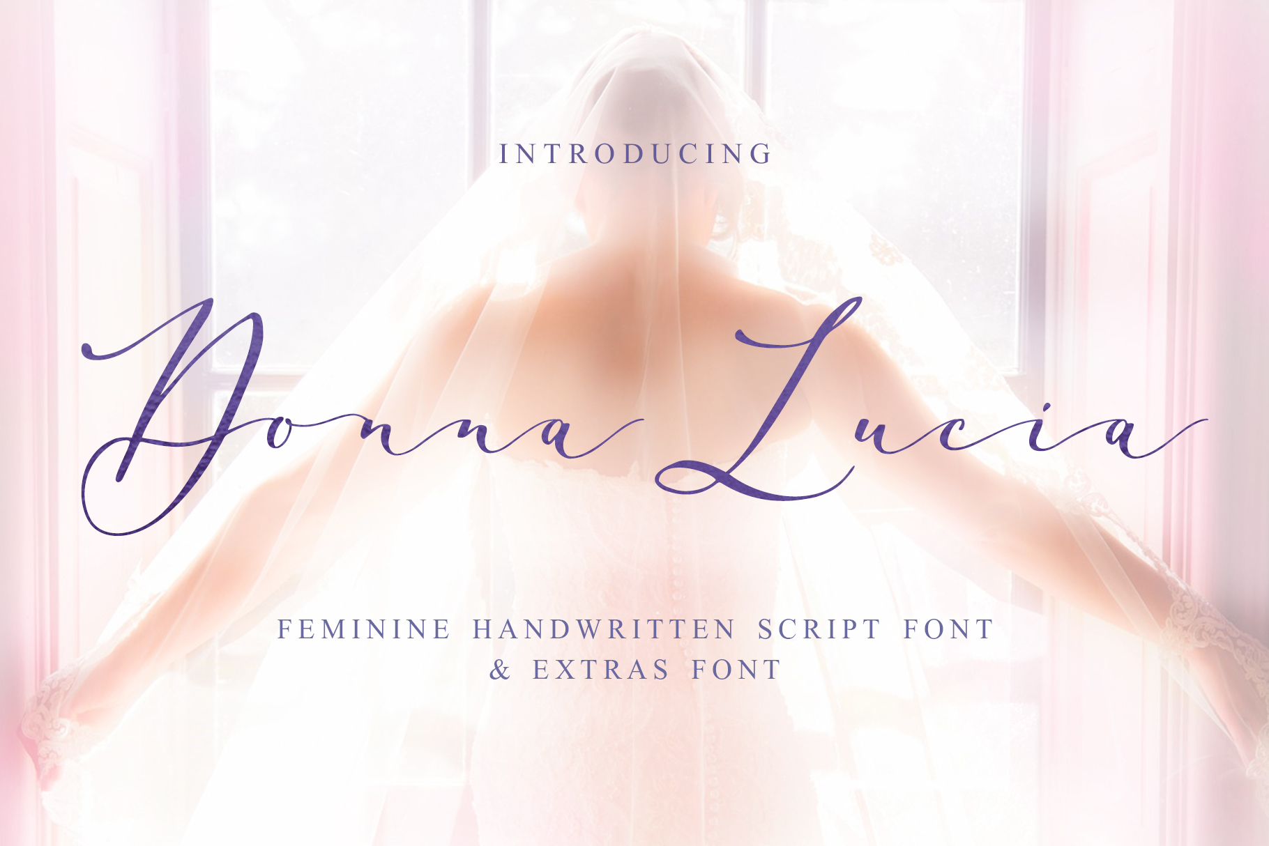 Donna Lucia: A Script Font That Elevates Digital Content