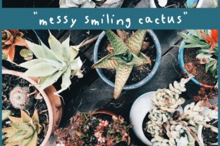 Messy Smiling Cactus: The Script Font for Engaging Content