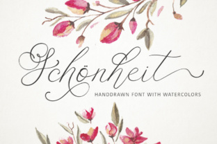 Testing Schönheit: A Delicate Script Font for Refined Web Design