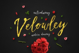 Velowley Typeface Review: Web Designer's Take on a Modern Script